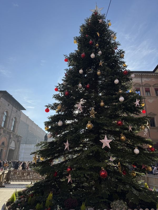 Vignola